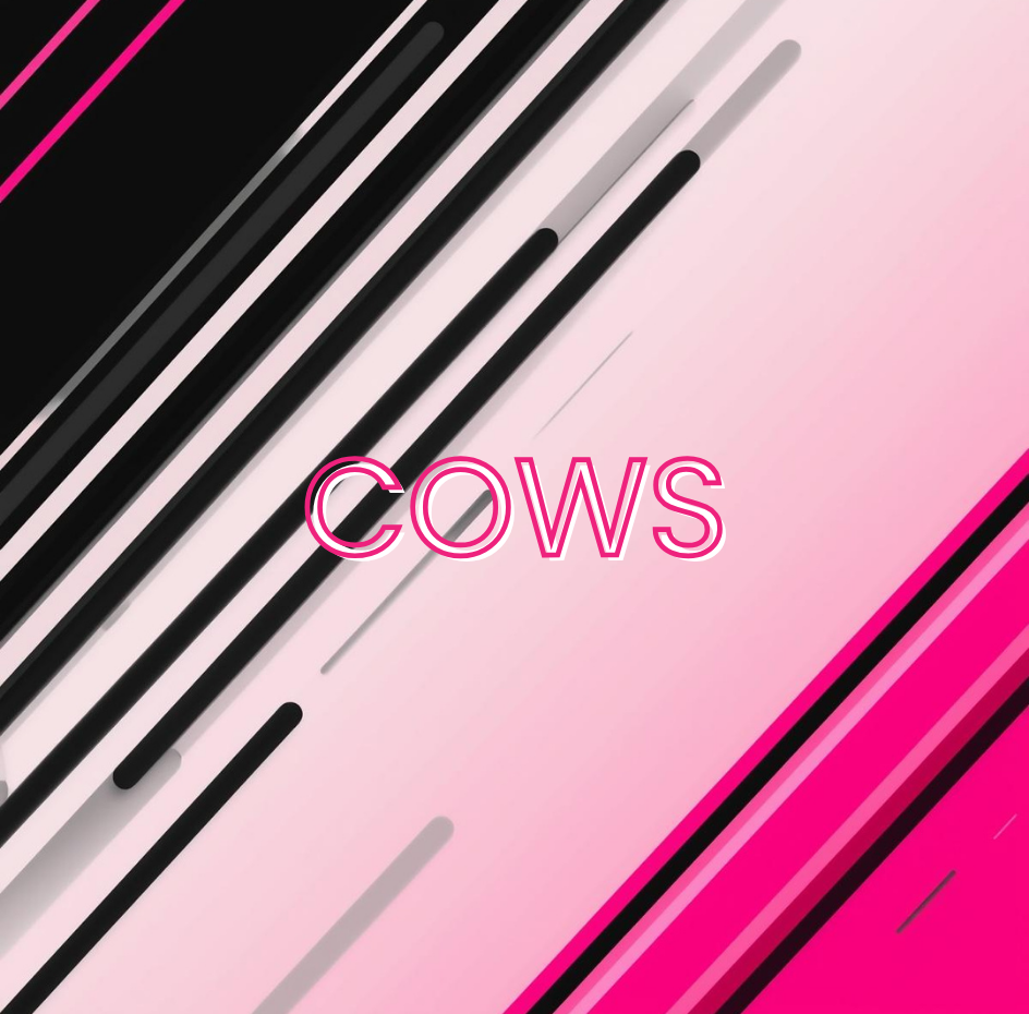 Cows Heat Transfers
