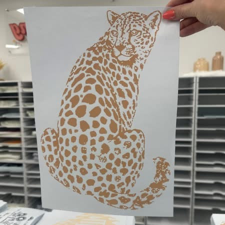 Cheetah