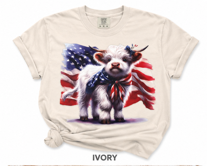 Fluffy American Cow