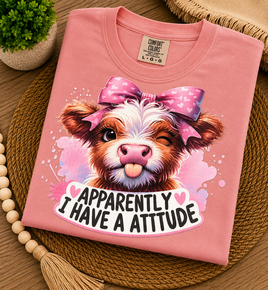 Apparently I Have An Attitude