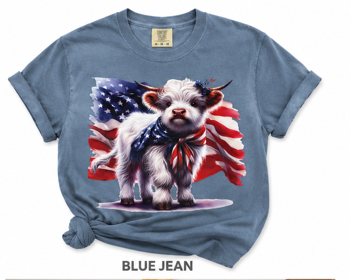 Fluffy American Cow