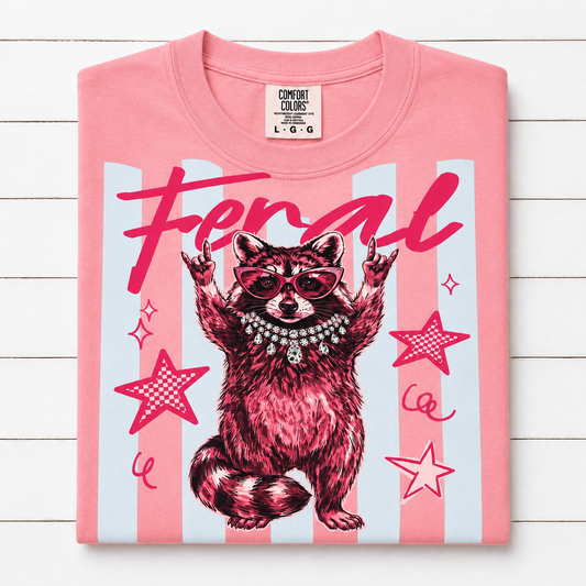 Feral Raccoon