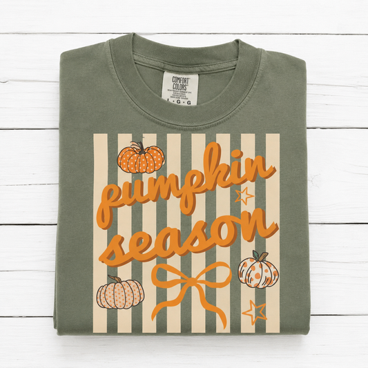 Pumpkin Season Stripes